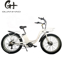 26 Inch 1000W 48V 21 Big Power Fat Tire E Bicycle Electric Bike